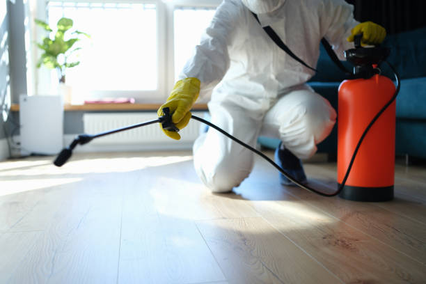 Trusted Sewage Cleanup service in Columbia, IL - Four Month Blood Cleanse